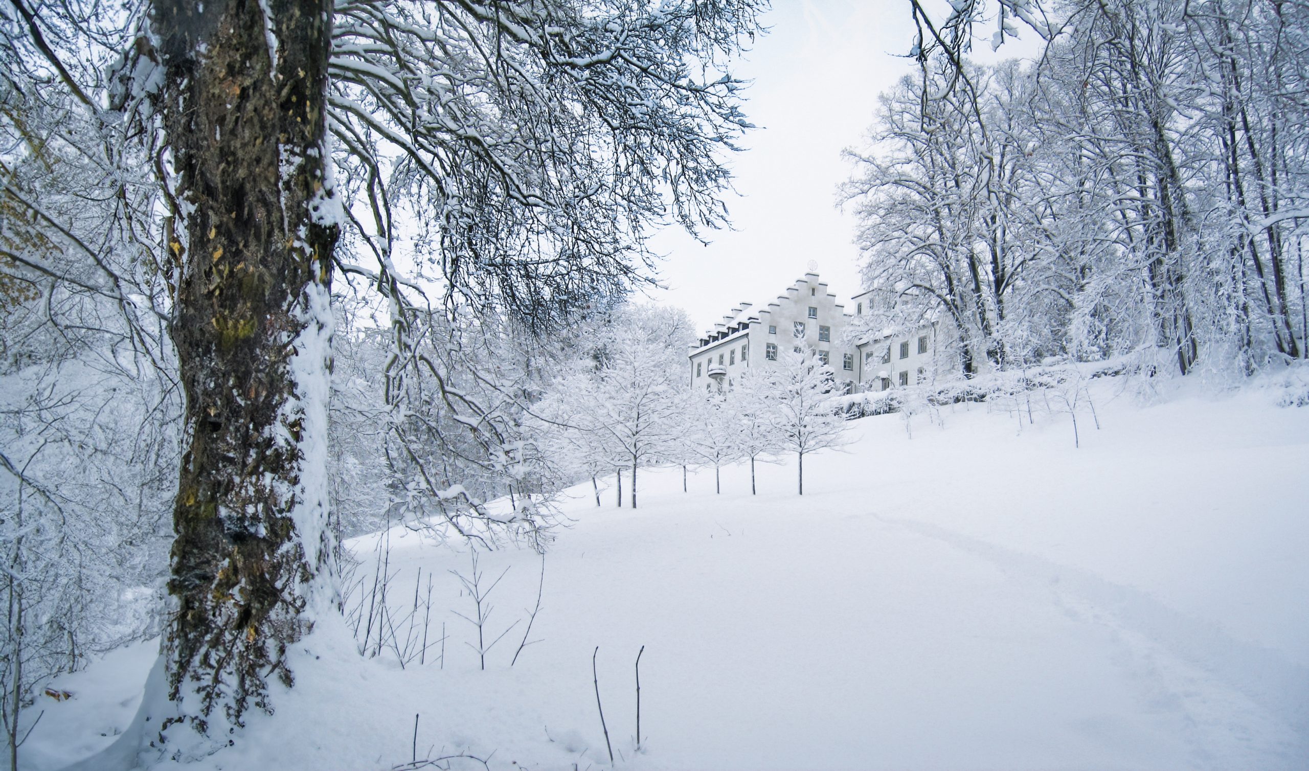Schnee bedeckte Landschaft mit einem historischen Gebäude.