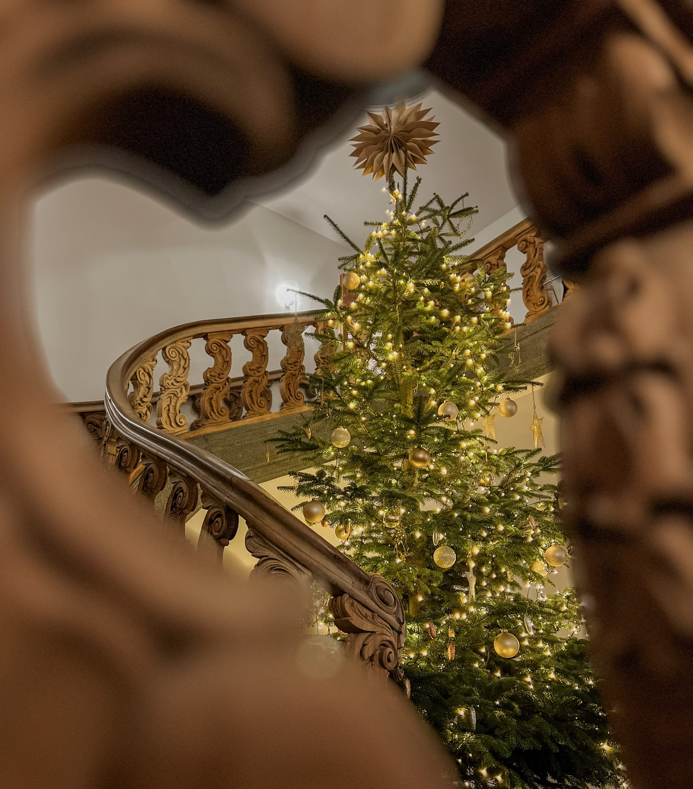 Weihnachtsbaum mit Lichtern und Dekoration