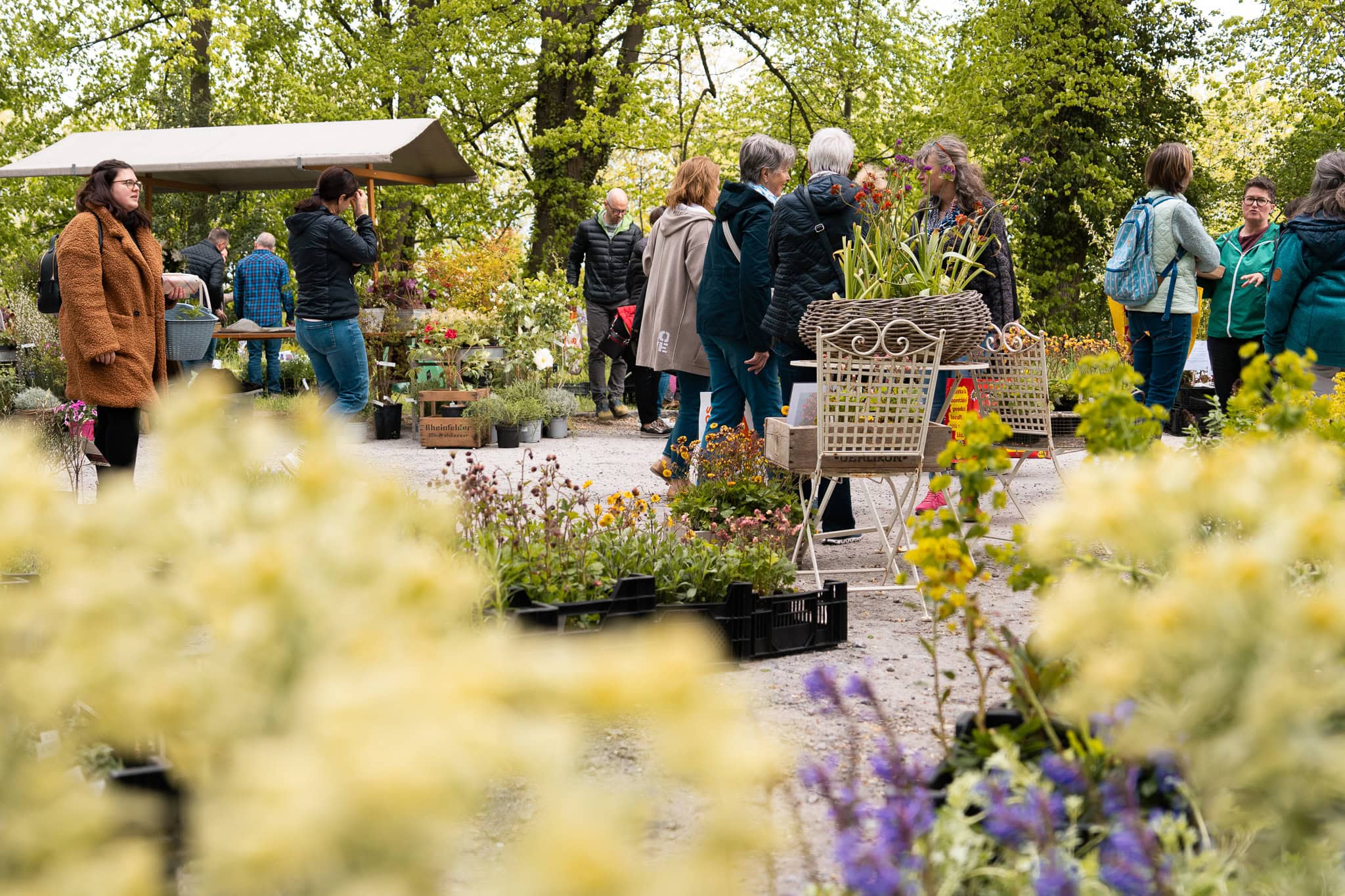 Bunte Pflanzenausstellung mit Besuchern im Park