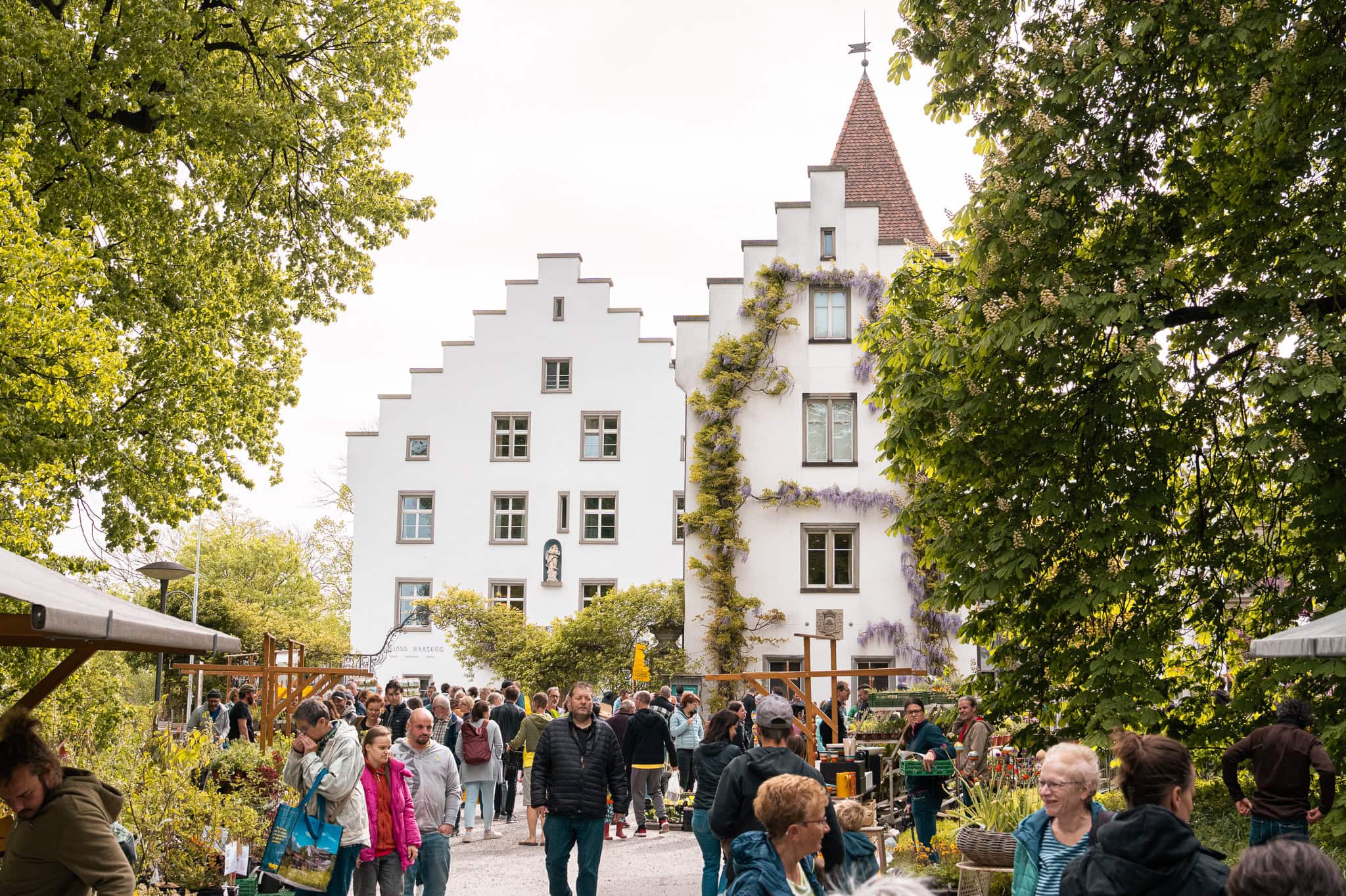 Vielbeschäftigte Menschen am Gartenmarkt mit historischen Gebäuden.