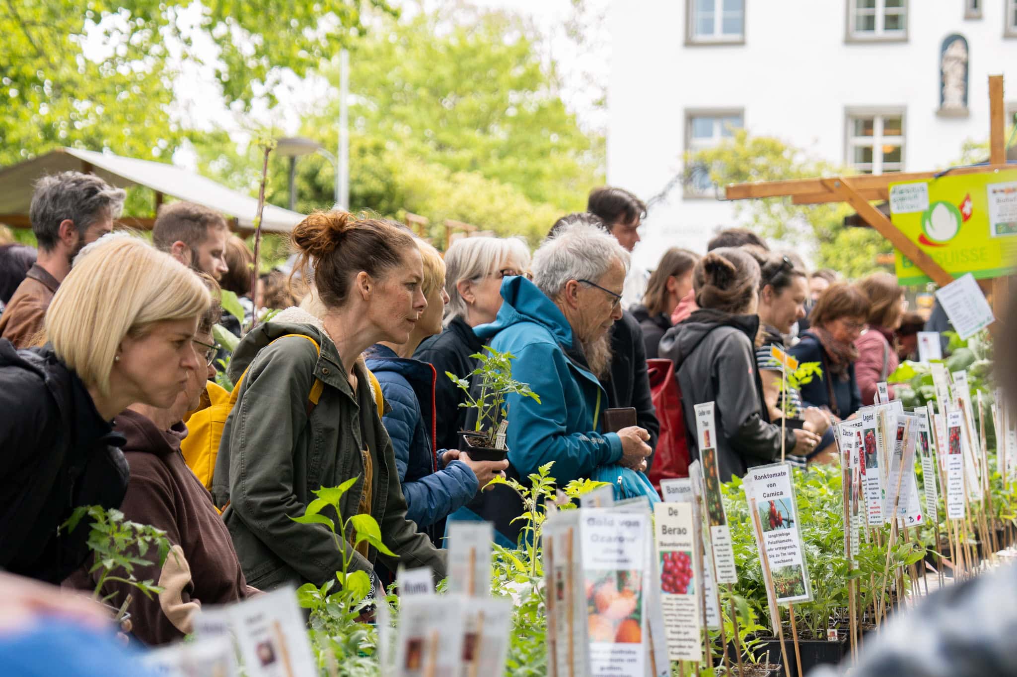 Menschen an einem Pflanzenmarkt in der Schweiz.