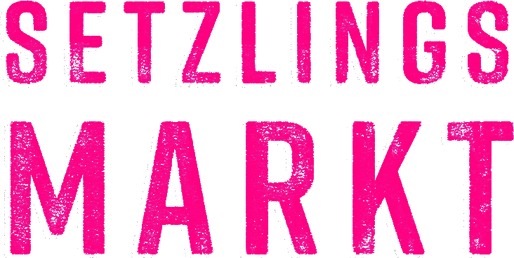 Setzlingsmarkt mit bunten Pflanzenangeboten